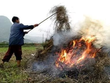 你年年都想燒的秸稈，今年可以吃票子了！