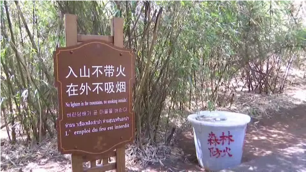 贊！雞足山景區(qū)連續(xù)35年無森林火災(zāi)，因為他們...