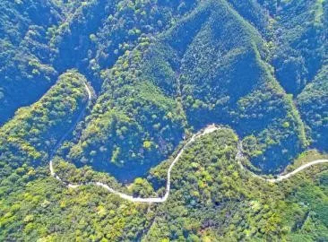智能化，讓森林防火監(jiān)控管護(hù)更“智慧”